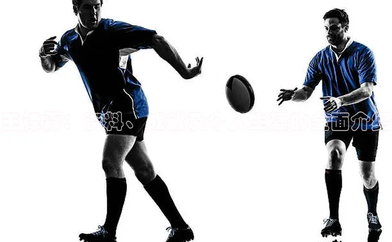 中欧体育全站app在线登录京东王铎霖：资料、成就及个人生涯的全面介绍