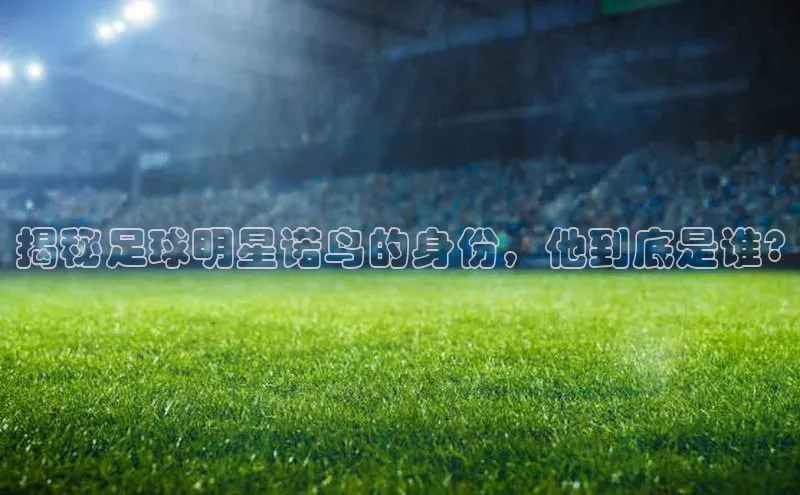 zoty28中欧体育网址每日互动揭秘足球明星诺鸟的身份，他到底是谁?