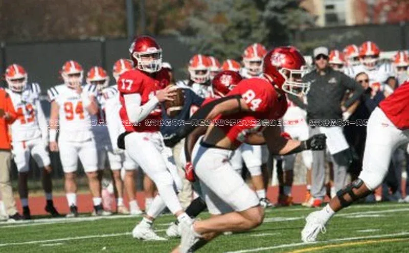 中欧体育app下载中文在线《揭秘C罗足球运动员的日常生活，精彩详情尽在一网编辑揭秘C罗足球运动员的日常生活，精彩详情尽在一网编辑Canopy之下》