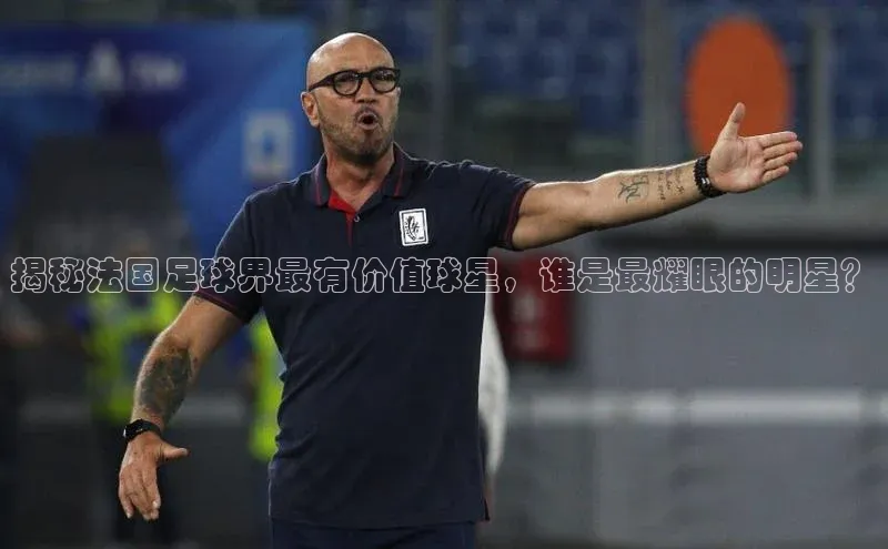 Zoty中欧体育登录入口一径科技揭秘法国足球界最有价值球星，谁是最耀眼的明星？