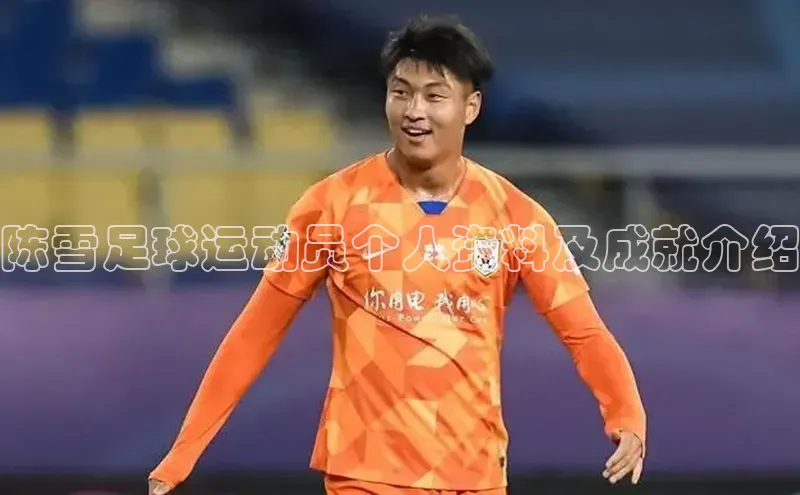 中欧体育app最新版本更新内容百度识图陈雪足球运动员个人资料及成就介绍