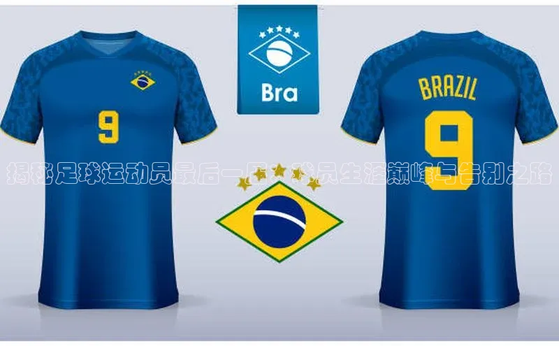 zoty官网网页如流揭秘足球运动员最后一届：球员生涯巅峰与告别之路