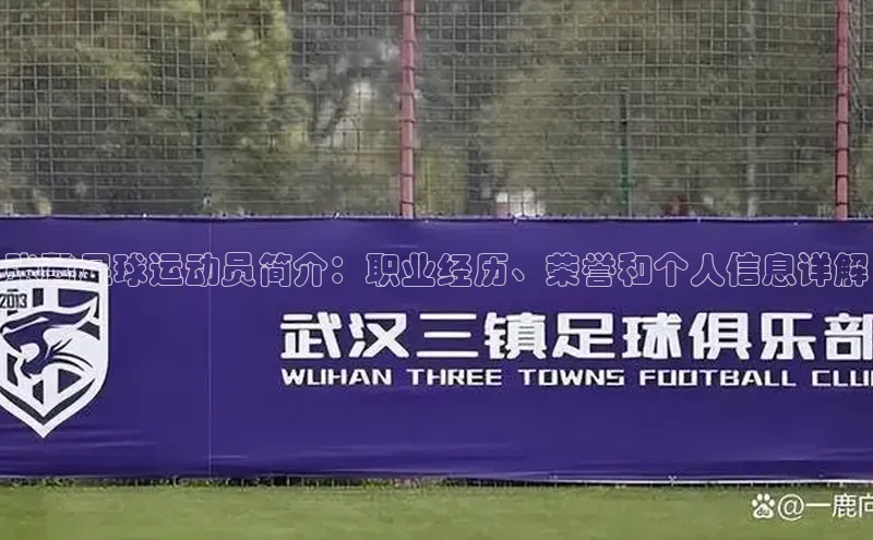 zoty中欧体育网址挪威主权基金张馨足球运动员简介：职业经历、荣誉和个人信息详解