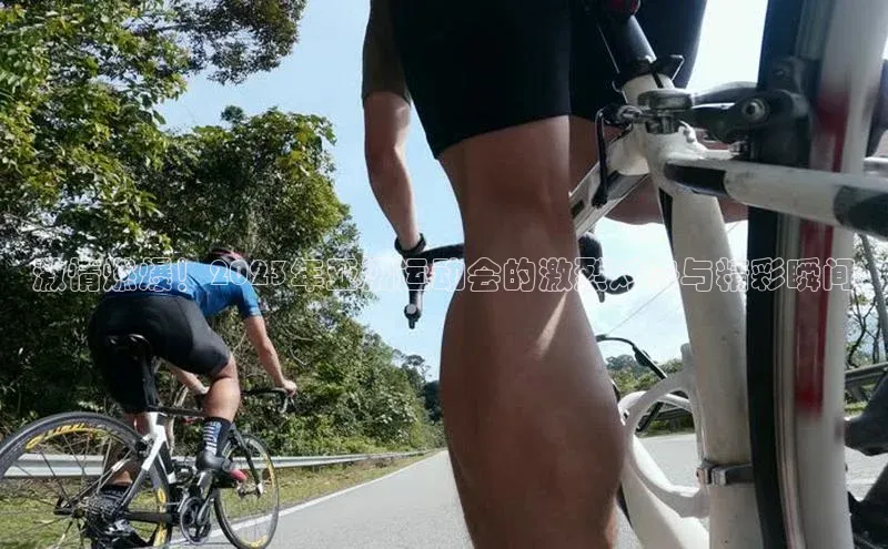 中欧体育网页登录入口下载荣信文化激情燃爆！2023年亚洲运动会的激烈对决与精彩瞬间