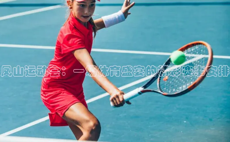 zoty28中欧体育网址百度翻译凤山运动会：一场体育盛宴的精彩赛事安排