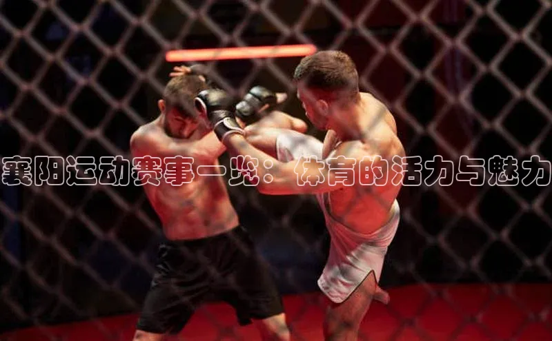 zoty官网网页慧博云通襄阳运动赛事一览：体育的活力与魅力