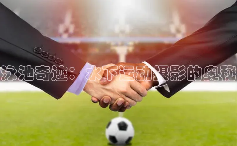 中欧体育官方平台入口神思电子泳池奇迹：水下运动摄影的奥秘