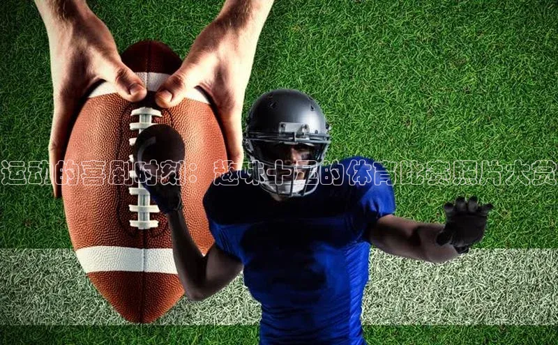 Zoty中欧体育登录入口一径科技运动的喜剧时刻：趣味十足的体育比赛照片大赏