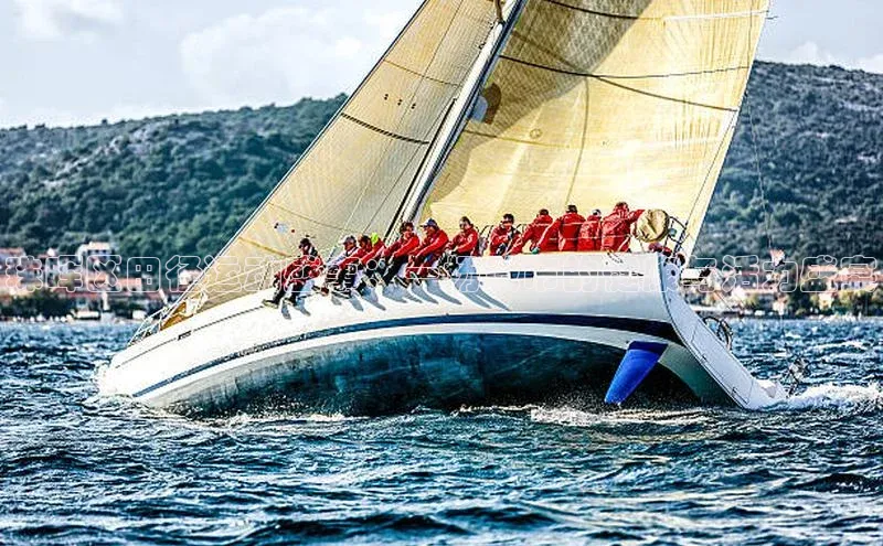 珠晖区田径运动盛事：一场城市的健康与活力盛宴