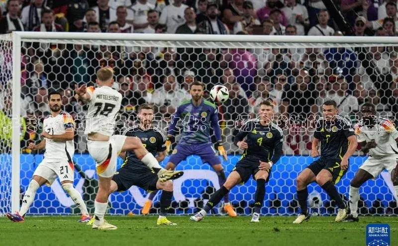 乒乓球运动的竞技与文化：一场全球性的球坛盛宴