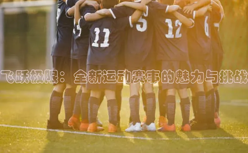 飞跃极限：全新运动赛事的魅力与挑战