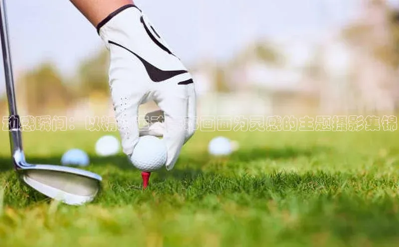 动感瞬间：以精彩运动赛事画面为灵感的主题摄影集锦