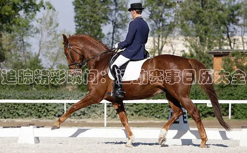 追踪精彩瞬间：运动赛事日历大全