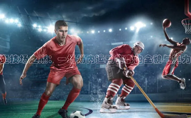 竞技场之巅：一场场内运动赛事的全貌与魅力