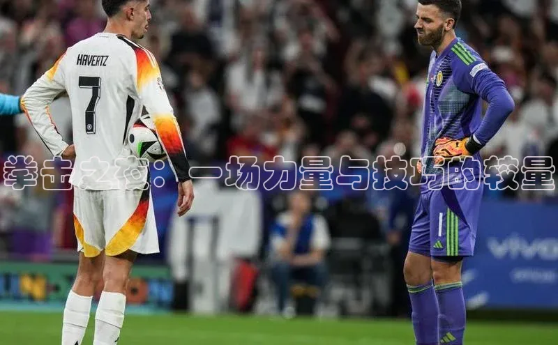 拳击之夜：一场力量与技巧的较量