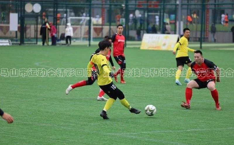 马山市运动会精彩回顾：激昂竞技与和谐共融的完美融合