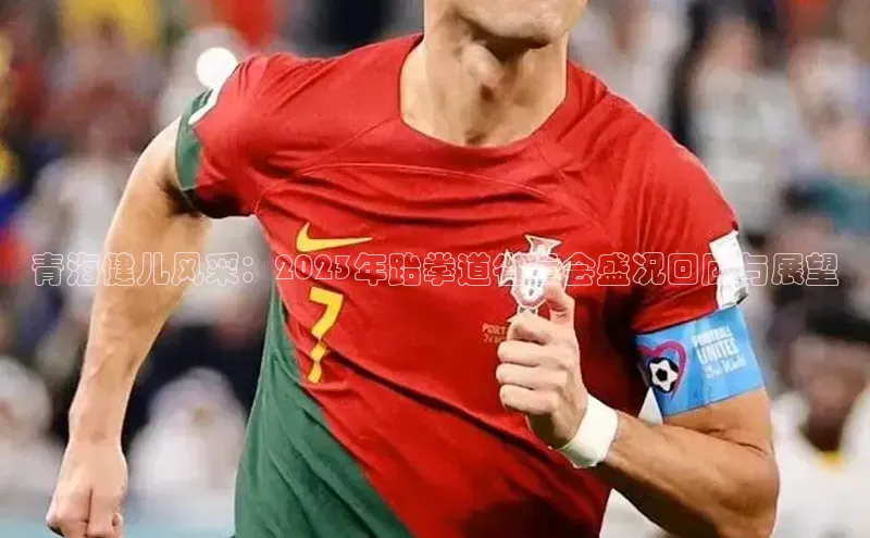 青海健儿风采：2023年跆拳道省运会盛况回顾与展望