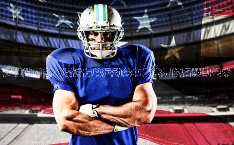 迁徙的旋律：探讨候鸟运动会中自然界的智慧与艺术