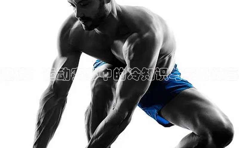 趣谈：运动赛事中的冷知识与意外惊喜