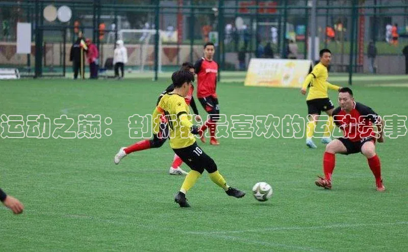 运动之巅：剖析我最喜欢的运动赛事