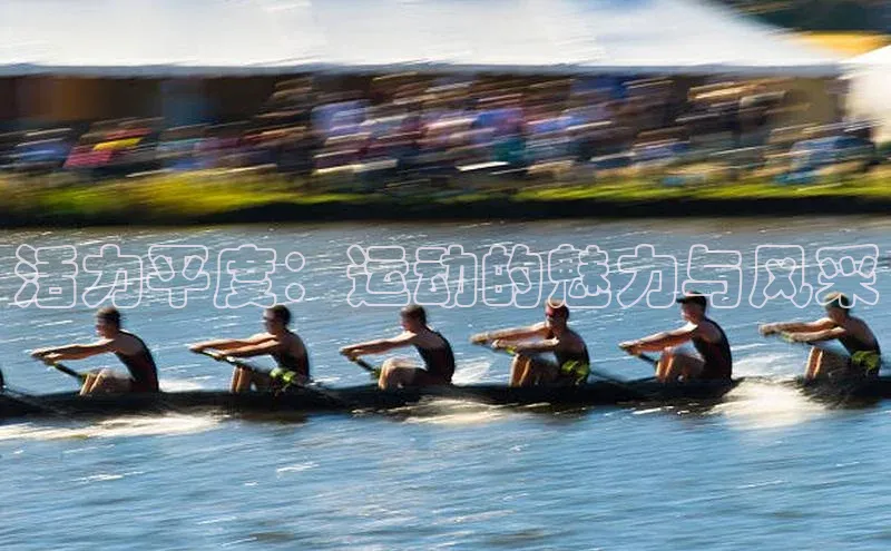 中欧体育官方平台入口网址