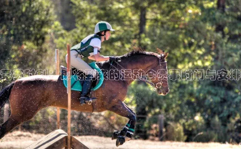 中欧体育网页版入口