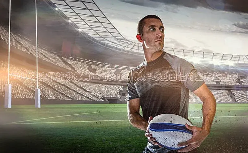 中欧体育官方平台入口网址