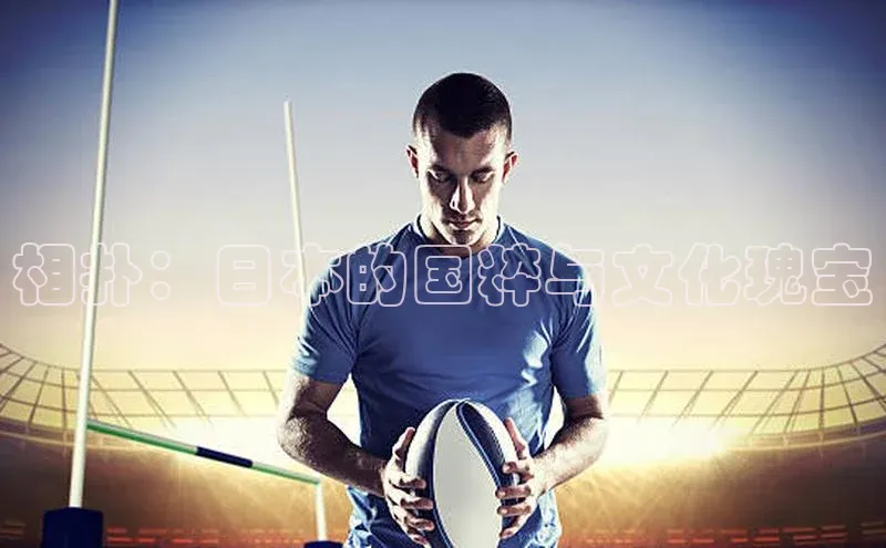 相扑：日本的国粹与文化瑰宝