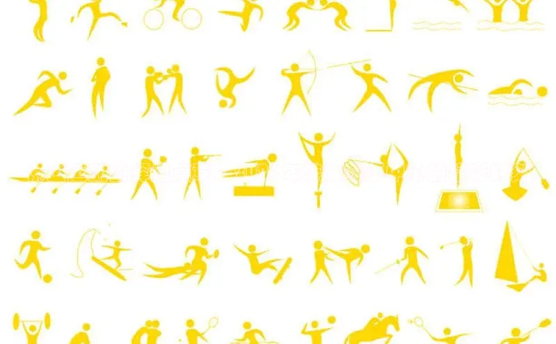 佛山运动的辉煌篇章：2023年游泳赛事中心的精彩时刻