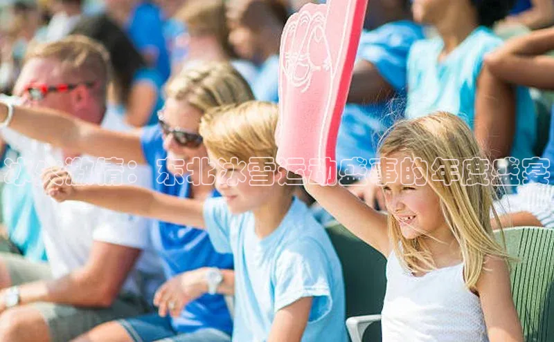 冰火激情：东北冰雪运动盛事的年度盛宴