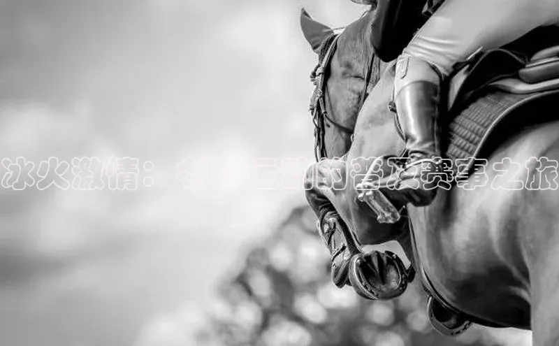 冰火激情：冬季运动的普及赛事之旅