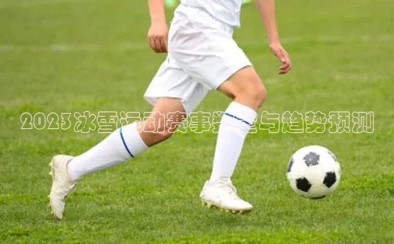 2023冰雪运动赛事数量与趋势预测